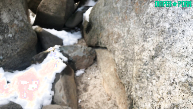 Littleprincessbug - Outdoor diaper vids: My Lake Tahoe adventure vlog